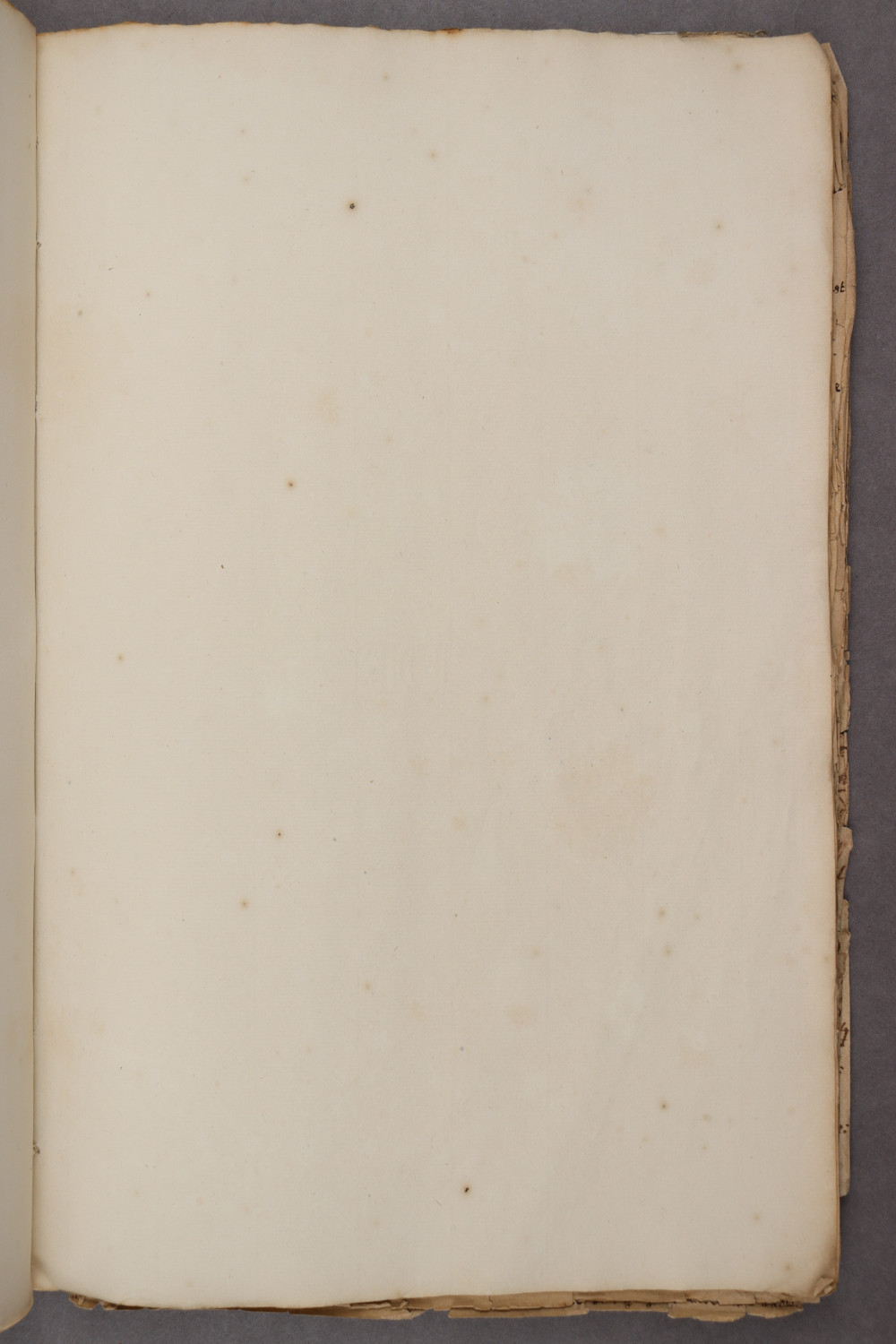 36 recto